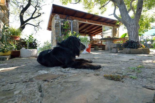 Cozy Istrian House Izola Exterior foto