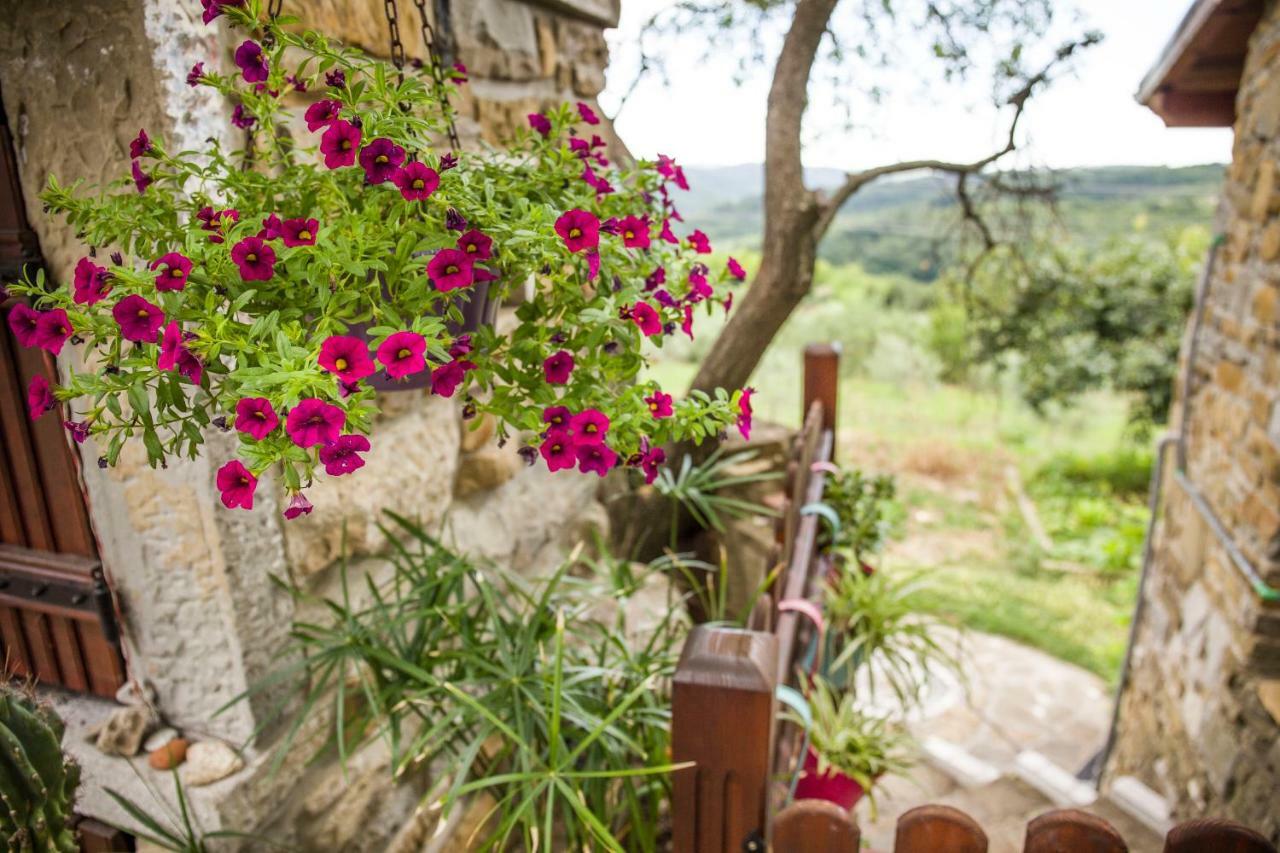 Cozy Istrian House Izola Exterior foto