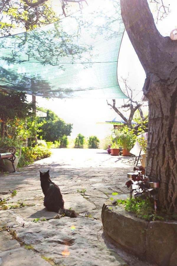 Cozy Istrian House Izola Exterior foto