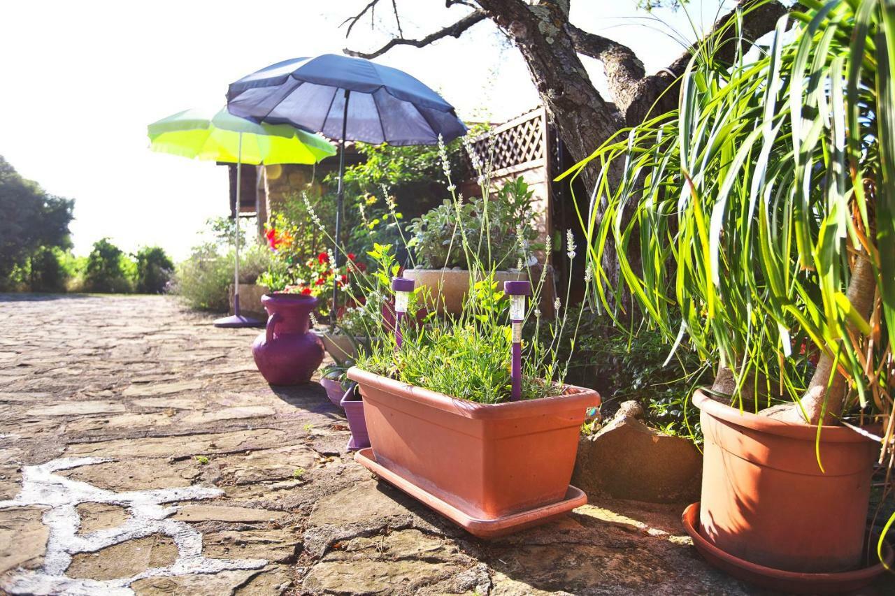 Cozy Istrian House Izola Exterior foto