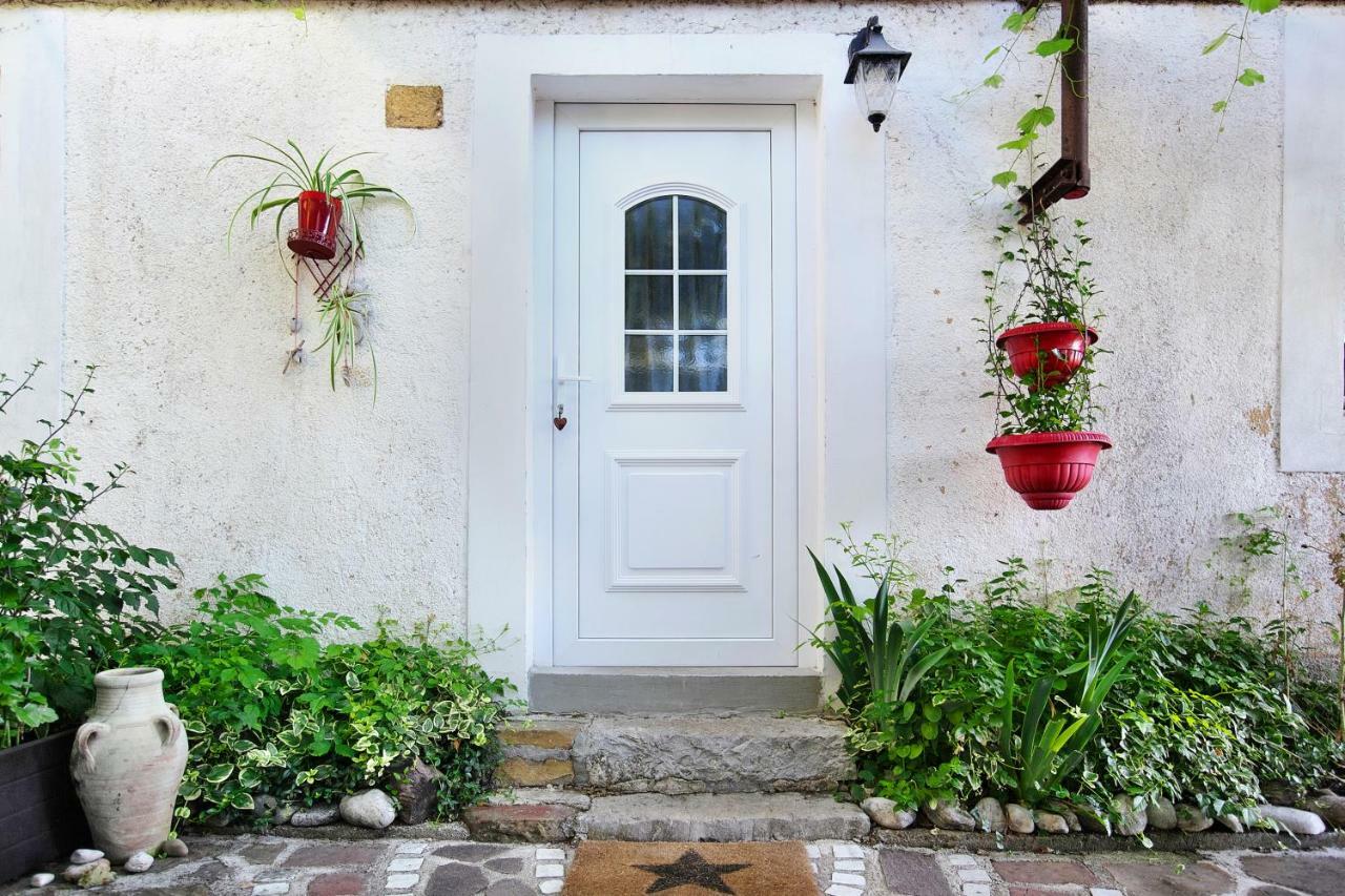 Cozy Istrian House Izola Exterior foto